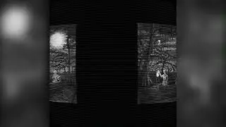 Death Of The Last Beautiful Jaguar - House Of Shadows