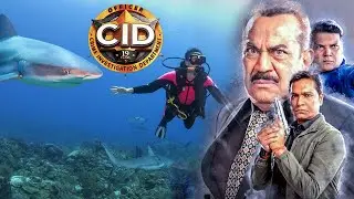 क्या CID ​​ढूंढ पाएंगे हत्यारे शार्क को | CID | CID Letest Crime Episode 2025