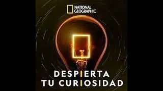 Los secretos olvidados de las catacumbas de Nápoles