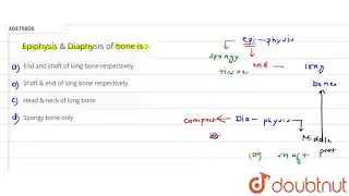 Epiphysis & Diaphysis of bone is :-