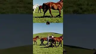 The Pasture Party