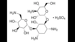 Kanamycin; Chemical name, Molecular Formula, Molar mass, Chemical Structure