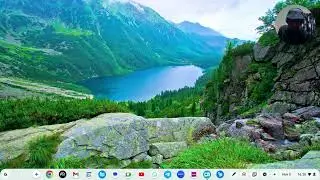 HOW TO INSTALL APPS DIRECTLY ON CHROME OS FLEX