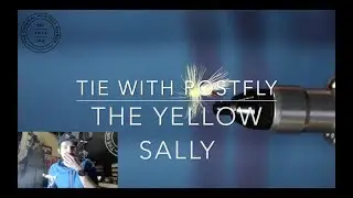 Tie With Postfly 8: Yellow Sally