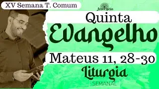 Evangelho de hoje (20/07/2023) | Mateus 11, 28-30 | Liturgia Di&aacute;ria