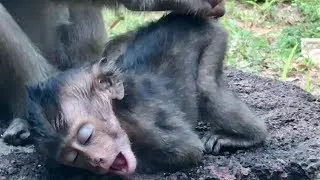Break my heart, Look poor baby Lori so weak exhausted, What happen on Lori?