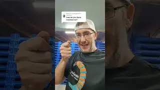 How do I farm mealworms?  October 5, 2024