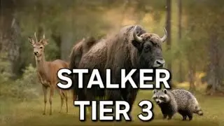#HUNTING SNIPER#SEASON 20#STALKER#TIER 3#헌팅 스나이퍼#시즌 20#정복자#티어 3