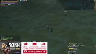 리니지2 오랫만의 방송(리본 시그니쳐 프란츠:크로니클5) lineage2