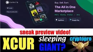 Could Curate (XCUR) Become the eBay of the Blockchain? SPECIAL REPORT!