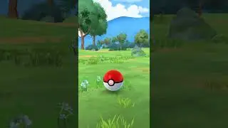 Catching Scatterbug!  #PokemonGO #Scatterbug #Vivillon #PokemonGOCatch #VivillonPatterns