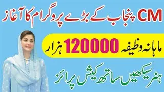 CM Punjab Female Ambassador Program 2026 - How To Apply Online Skill Development Program For Student