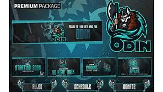 I will create professional twitch logo , overlays and screens