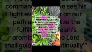 #christian #missionary #churchofJesusChrist #DallinHOaks