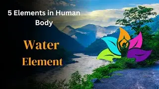 Water Element | How to balance Water Element #humanknowledge #water