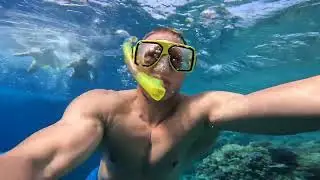 Schnorcheln + Delfine Ägypten Hurghada