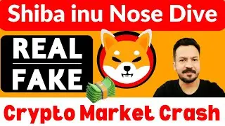 Crypto Market Crash Today | Can Shiba inu Coin Survive? | Crypto News Today Urdu Hindi | Ali Iqbal