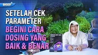 Aquarium Laut Untuk Pemula : Panduan Dosing Nutrient : Akuarium Laut Makin Cantik & Seimbang!