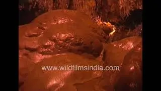 Inside Mawsmai Cave | water dripping from ancient rocks