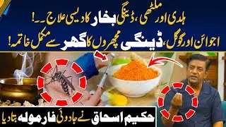 Turmeric & Licorice | Herbal Solution for Dengue Fever | Hakeem Ishaq&rsquo;s Magical Formula for Dengue