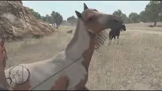 Red Dead Redemption_20260116174739
