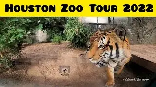 Houston Zoo in 2022 | Full Tour | Houston, TX | Day trip adventure | What is there to do here?