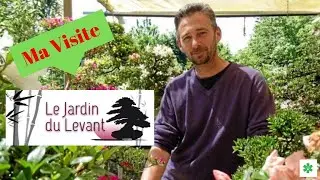 La PÉPINIÈRE bonsaï, du JARDIN du LEVANT