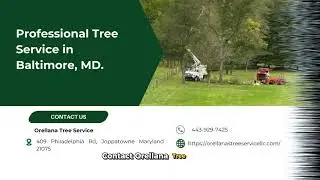 What is the average cost of tree removal in Baltimore, Maryland?