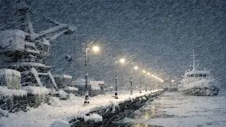 Heavy Blizzard Sounds and Howling Winds - Strong Winds to Help You Sleep Deeper