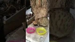 -29&deg; +400р. Галина Олеговна О., СПАСИБО!!! на Сбербанк 2202203654418625 Елена К. 20 января 2026г.