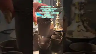 PuErh & Palms Collection  
