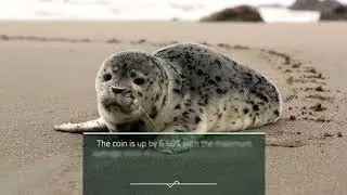 Ravencoin Price Prediction 2023, 2025, 2030  How much will RVN be worth