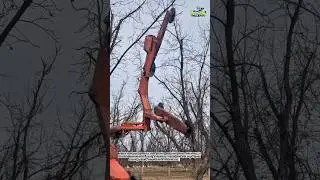 Amazing Tree Pruning Machine Cutting Branches Fast | Modern Farming Technology