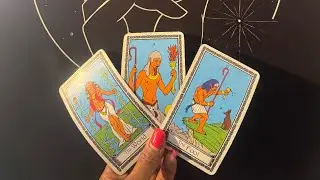 Scorpio Love Reading January 2026- you both did the work individually, now you can take the leap ❤️