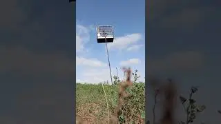 تغريد هجين كوبية ملكا ماشاء الله 