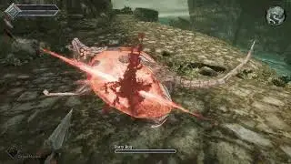 Queens Domain Demo