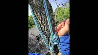 HOW TO CLIMB OLD SCHOOL #tree #rope #blake #hitch #knot #naughty #past #tech #diy #rapel #grow #you