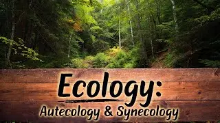 Ecology: Definition and Types (Autecology & Synecology)