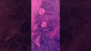 aesthetic new year 2022 edit #shorts