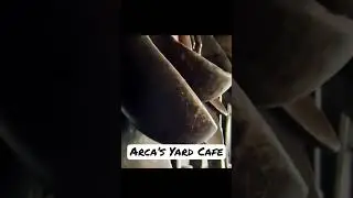 Arca&rsquo;s Yard Cafe