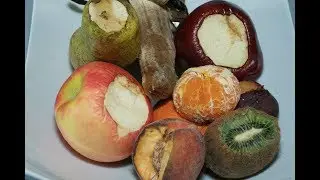 Bible Study -  Fruit of Bryan Denlinger Cult - Lies of the Devil