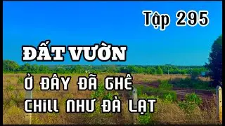 ch&uacute; tư rao b&aacute;n mảnh đất vườn chiil như đ&agrave; lạt .đất vườn v&ugrave;ng ven b&agrave; rịa vũng t&agrave;u