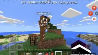 MinecraftEnder bear1#