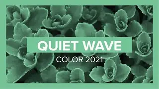 Quiet Wave Spring/Summer 2021 Color Trend