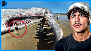 50 COISAS ASSUSTADORAS QUE APARECERAM NA PRAIA!