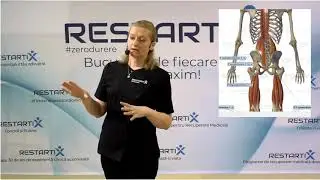 KINETOTERAPIE I Cum Poți Scăpa De Durerile de Spate (sau Lumbago) Pentru A preveni Hernia de Disc