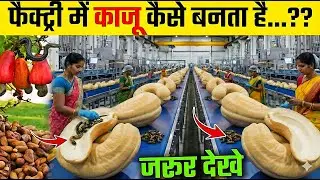 फैक्ट्री में काजू कैसे बनता है ? | Kaju Kaise Banta Hai | How Cashew Nuts Are Made