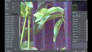 DeNoise Tips - 5 min. Full Overview