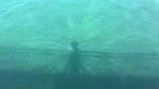 Illusionistic Shadow, Rathaussteg, Lucerne, Switzerland