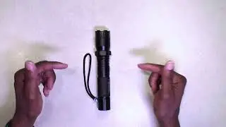Guard Dog Diablo 2, BEST Flashlight Stun Gun!!
